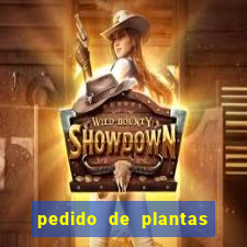 pedido de plantas stardew valley onde entregar